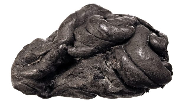 Danimarka’da bulunan 5 bin 700 yıllık sakız, Taş Devri’nde yaşayan bir kadın hakkında ipuçları bulunmasını sağladı