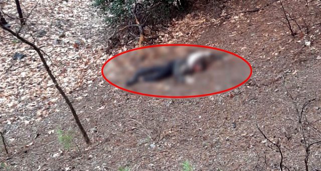 Evli adam, kumalığı kabul etmeyen kadını önce uçurumdan attı sonra başını taşla ezerek öldürdü!