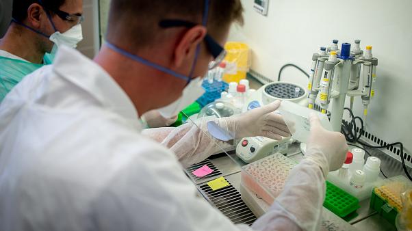 Pasteur Enstitüsü’nün, koronavirüsü 2004’de icat ettiği iddiası sosyal medyada çığ gibi yayıldı