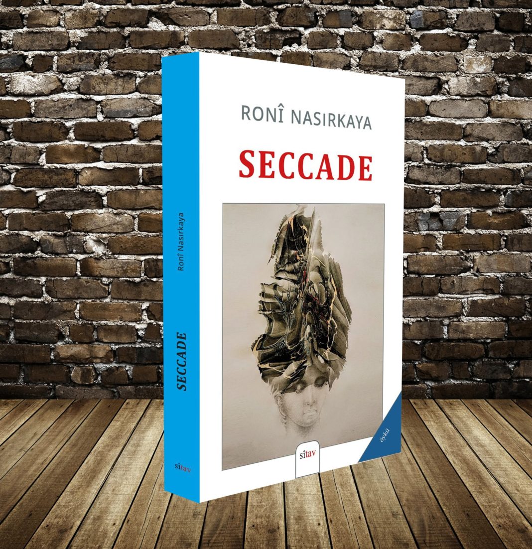 Kitap: ”Seccade” Van havzasına serilmiş bir hikaye…