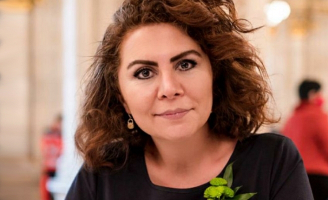 Viyana Büyükelçisi Ozan Ceyhun, Kürt siyasetçi Berivan Aslan’ı ‘Türkiyeli’ saymadı