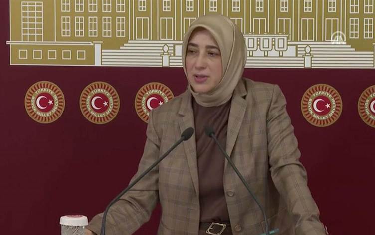 Akar ve Soylu Meclis’te gündem dışı konuşma yapacak