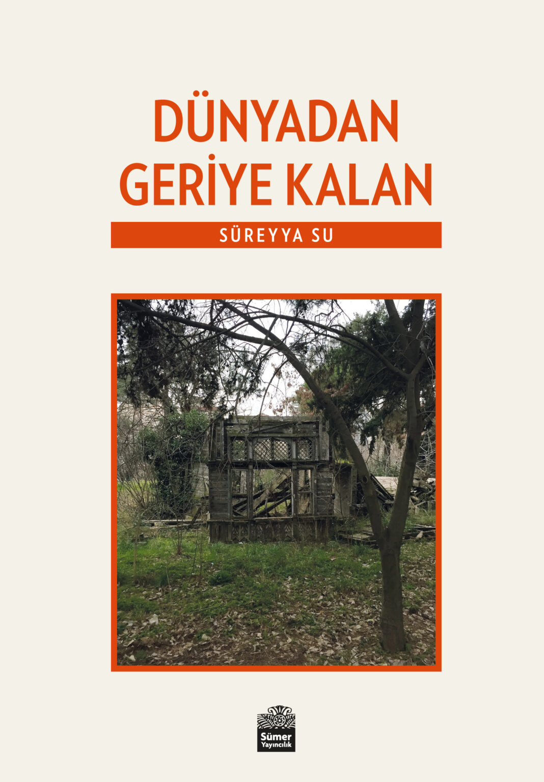 Sümer Yayıncılık’tan yeni kitap: Süreyya Su, ‘Dünyadan Geriye kalan’