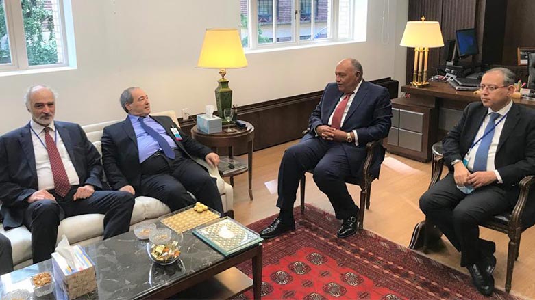 Mısır Dışişleri Bakanı Şukri, Suriyeli mevkidaşı el-Mikdad ile Suriye krizini görüştü