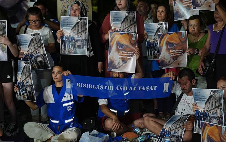 Muhalefetin şiddetle karşı çıktığı sokak hayvanları kanun tasarısı komisyondan geçti