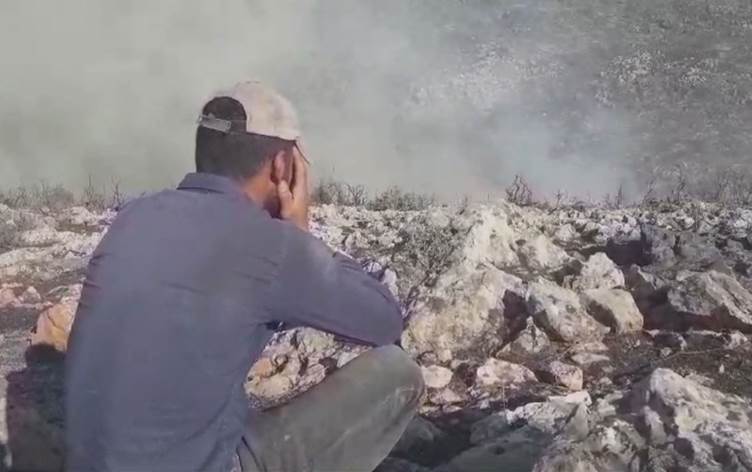 Türkiye’nin desteklediği gruplar, Afrin’de ağaçları ateşe verdi