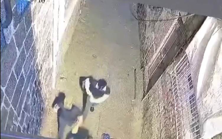 Diyarbakır’da aynı kafeye ikinci kez saldırı