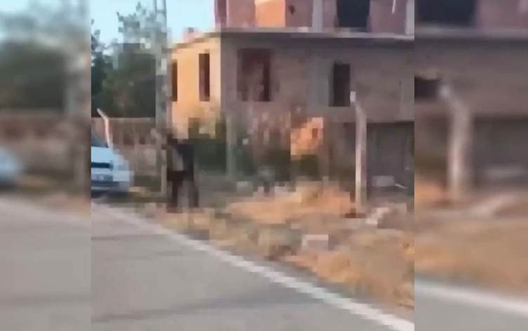 Yavru köpeği öldüren şahıs tutuklandı
