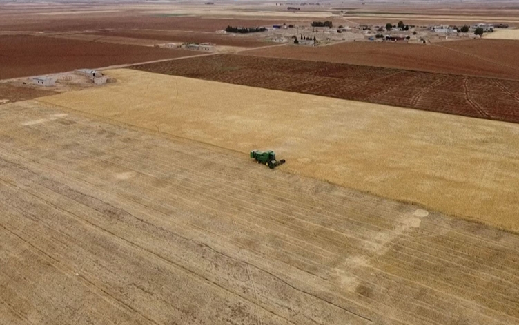 Şam ile Rojava’da ‘endişe ve buğday’ rekabeti